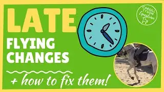 What is a late flying change? + how to fix a late flying change