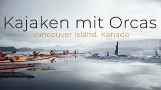 Kajaken mit Orcas auf Vancouver Island | Camping, Wale, Robben, Seelöwen, Kanada