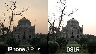 iPhone 8 Plus vs DSLR: Pretty Close!