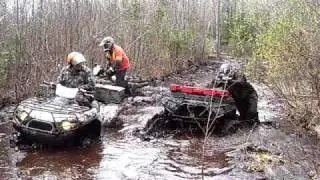MUD BUDs 2