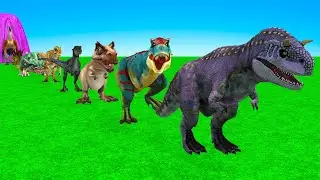 Paint Animals Dinosaur T Rex Herbivores and Carnivores Dinosaurs Fountain Crossing Animal Cartoon