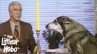 Romiet and Julio | The Littlest Hobo | Season 1 | Episode 19