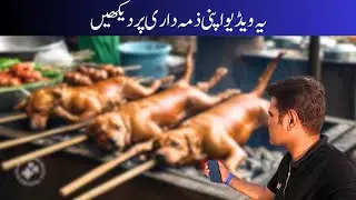 Grilled Dog Meat in Cambodia: A Cultural Insight