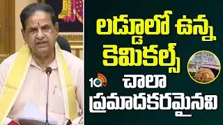 లడ్డులో ఉన్న కెమికల్స్ చాలా ప్రమాదమైనవి | TTD Chairman BR Naidu About Laddu Issue | 10TV News