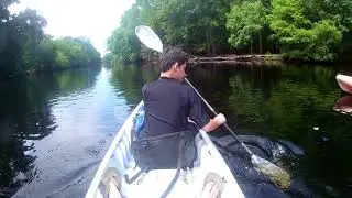 2018 Apr 02 Rum 138 on Santa Fe River 11
