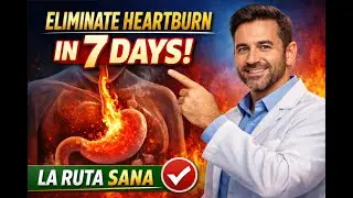 Eliminate Heartburn Permanently in 7 Days Natural Fixes That Actually Work