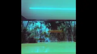 [FREE] Weiland x Ginseng Type Beat - 