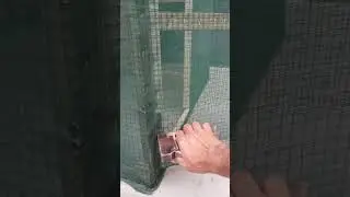 معلومات مفيدة حول قفص البلابل