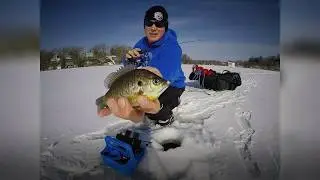 Bluegill Ice Fishing Tactics