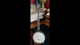 Gold Tone White Laydie (WL-250) Special Order: Skin Head, Gut Strings