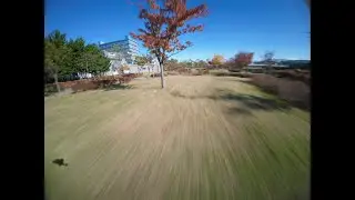 First Fall at Haemi Park