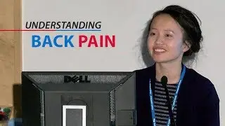 Understanding Back Pain