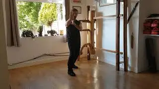 Wing Chun, from the beginning 3 with Sifu Neal Haxton.