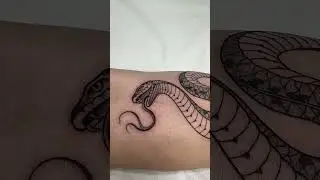 Whipshading tattoo snake art work #snake #snaketattoo #tattoosnake #tattoodesign #pepaxcartridges