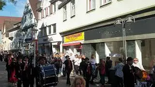 Wasen Umzug 2019 Bad Cannstadt Volksfestumzug Festzug zum 174. Cannstadter Volksfest 29.10.19 Bl&auml;ser