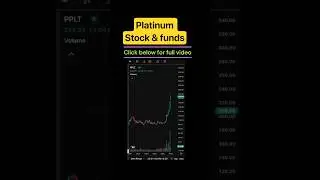 Platinum stock & funds. Raj Equi-Tech