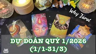 DỰ ĐOÁN QUÝ 1/2026