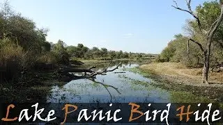 Lake Panic Bird Hide Video From The Kruger National Park - Kruger Hides | Stories Of The Kruger