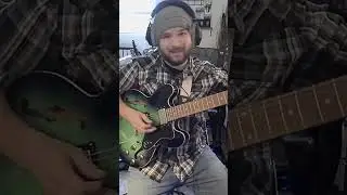 Using guitar pedals to make weird noises for your cat