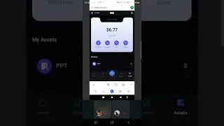 Pop Max dapp alustaan tutustuminenja nostot