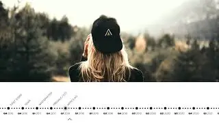 Usecase: The Journey of Appics (Milestones)