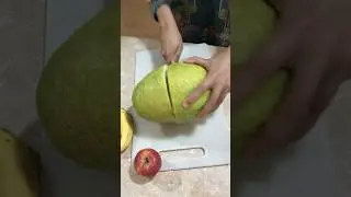 Surprise!!! Giant Lemon 🫢#giant#lemon