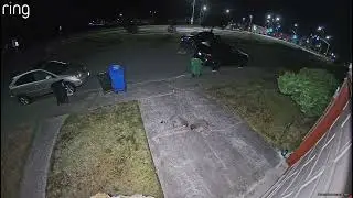gopher trap raided by raccoon 20250805 0033 ring cam