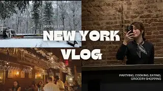 New York Vlog: Being a Party Planner, Cooking Korean Foods, Costco/Grocery Shopping Recommendations