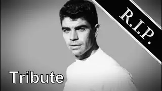 Manuel Sanch&iacute;s Mart&iacute;nez ● A Simple Tribute