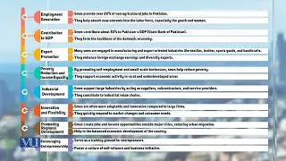 Role of SMEs in Pakistan | Introduction to Business | MGT211_Topic030