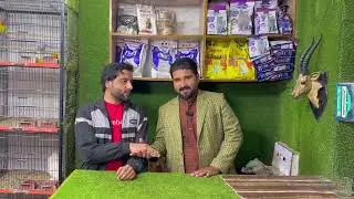 Multan Birds Market Rasheedabad 07 Januray 2026 Flemish Giant rabbit  | Persian cat