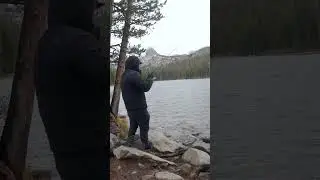 Лучшая наживка года для радужной форели | Ловля форели #шорты