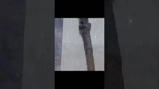 Truly ancient sword