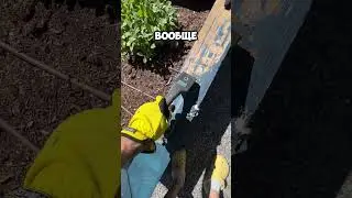 $400 баксов за 4 часа работы #какзаработать #заработатьмного #handyman