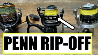Best Fishing Reel Under $50? Penn, Daiwa, Or Walmart?