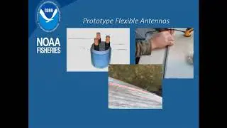 Flexible Antennas - Brooks