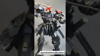 SUPER AWESOME!!! Tiger of Kai Moshow toys Takeda shingen Black edition