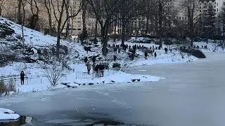 EUA: temperaturas glaciais v&atilde;o continuar a descer