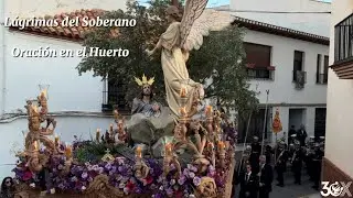 Lágrimas del Soberano - AM Exfiliana - Oración en el Huerto, Padul - Semana Santa 2025