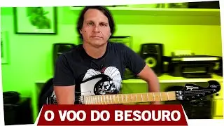O Voo do Besouro - Palheta Alternada  c/ Edu Ardanuy