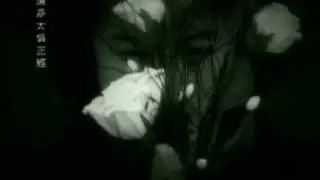 謝霆鋒 - 玉蝴蝶 (Nicholas Tse -  Jade Butterfly)