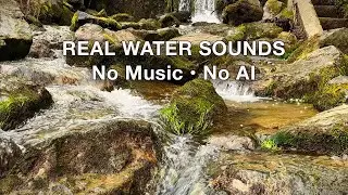 Gentle Waterfall Sounds Over Mossy Rocks &ndash; Real Water ASMR for Sleep, Relaxation & Meditation (2H)