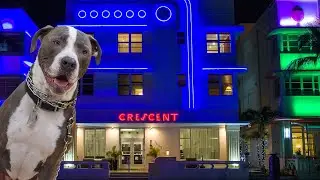 South Beach, Miami Spring Break 2021 Walking Ocean Drive GoPro Hero9 Black DogPOV
