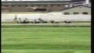 2004 Ohio Derby - Brass Hat