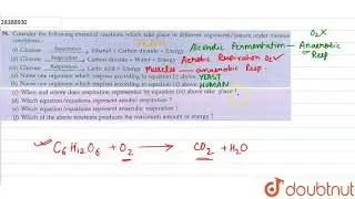 Consider the following chemical reactions which take place in different organisms/tiss