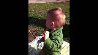 Picnic Leo