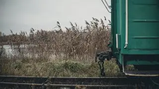 Narrow-gauge railway/Узкоколейная железная дорога
