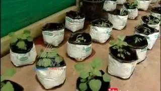 Rockfort Garden,outing to Healthacation  | Money Time 29 july 2016