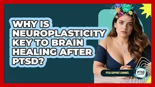 Why Is Neuroplasticity Key To Brain Healing After PTSD? - PTSD Support Channel