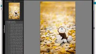 3 Steps to Transfer Your Lightroom Presets to a New Computer